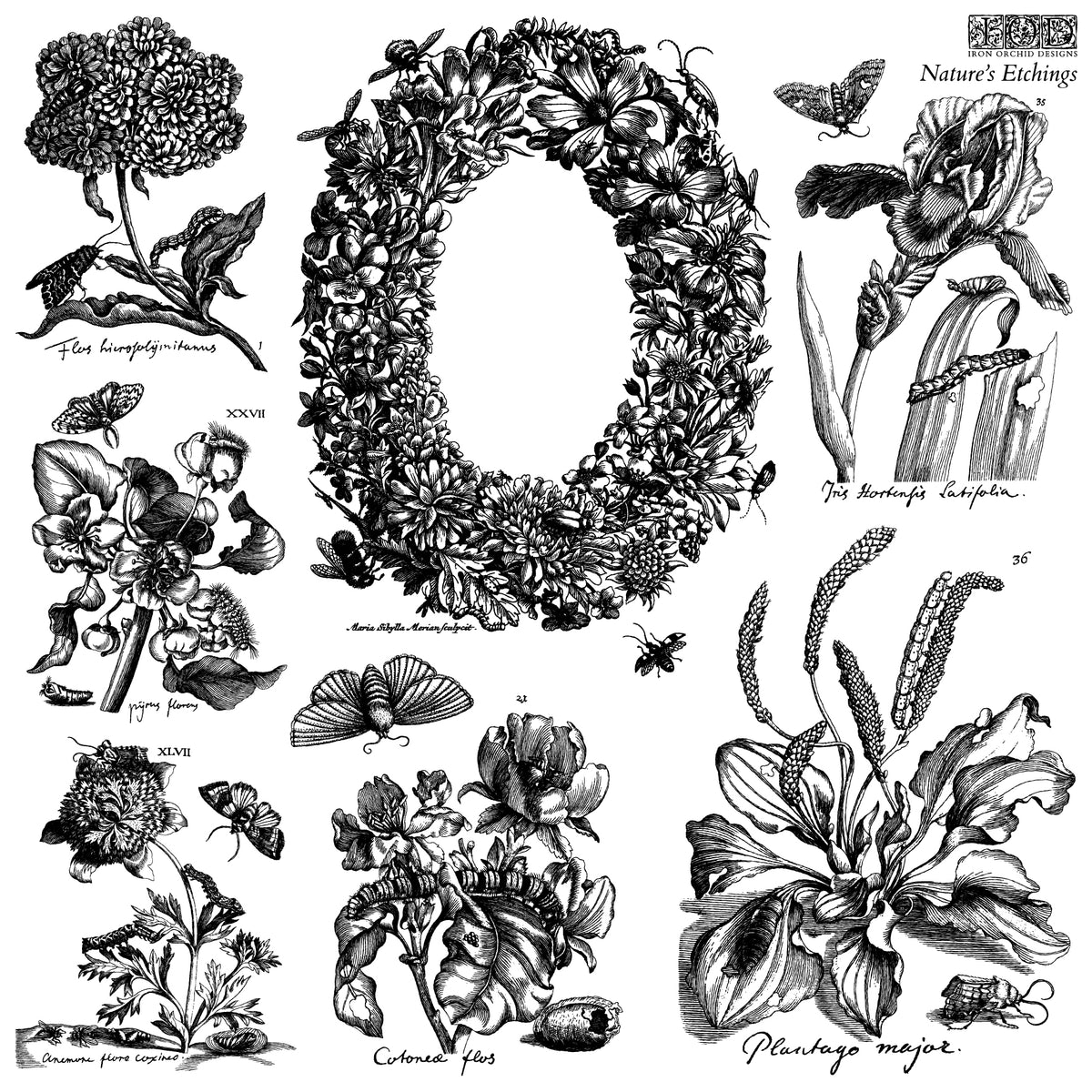 Nature's Etchings IOD Stamp 2 sheets Stamp