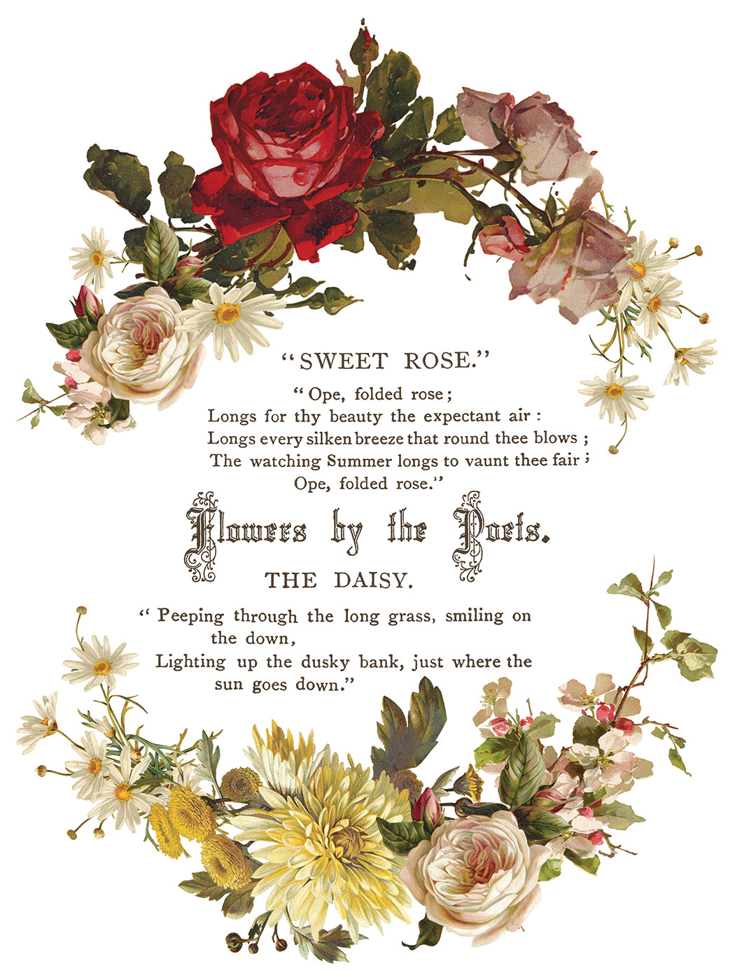 Flowers by the Poets IOD Transfer 8 sheets