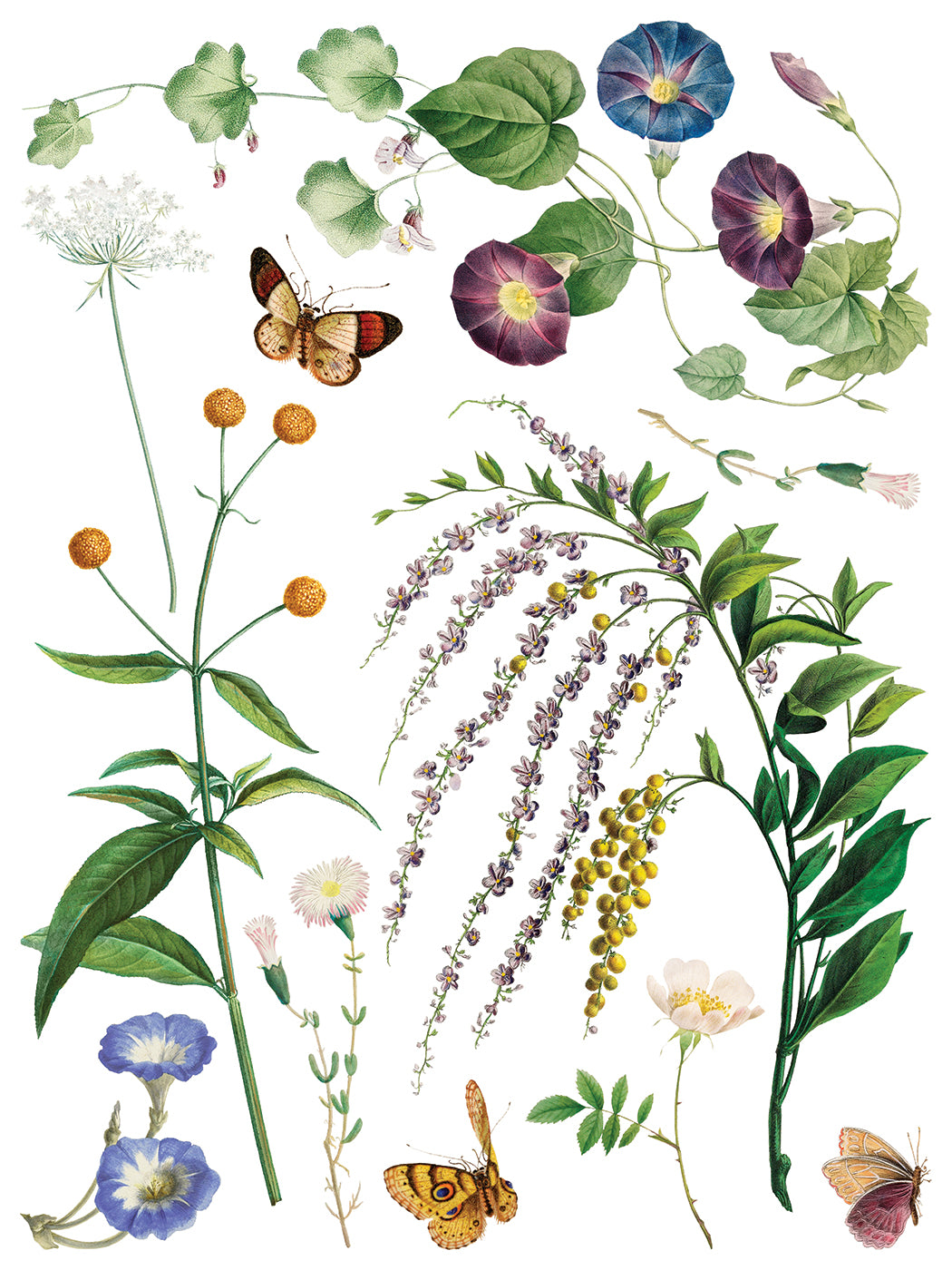 Marche des Fleurs IOD Transfer 8 sheets