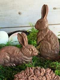 Les Lapins Bunny IOD Mould