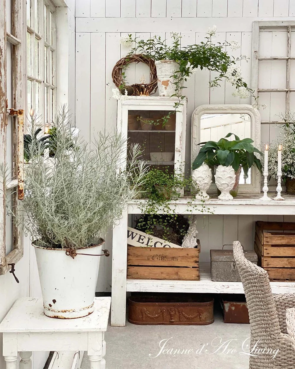 Nostalgic interior with plants, wooden crates, and a mirror on a white wall. Issue 6 2025 Jeanne d'Arc Living Magazine