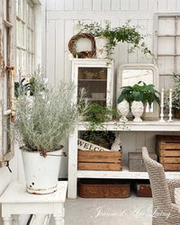 Nostalgic interior with plants, wooden crates, and a mirror on a white wall. Issue 6 2025 Jeanne d'Arc Living Magazine
