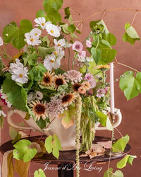 Issue 6 2026 Jeanne d'Arc Living Magazine