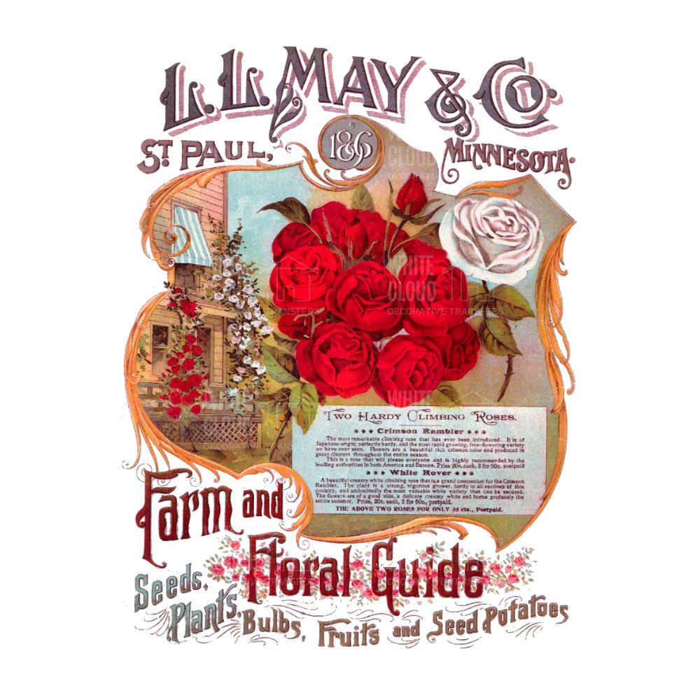 Vintage-style advertisement for L.R. May & Co. featuring red roses and garden scene.