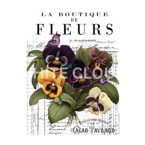 La Boutique De Fleurs 1 White Cloud Transfer pansy