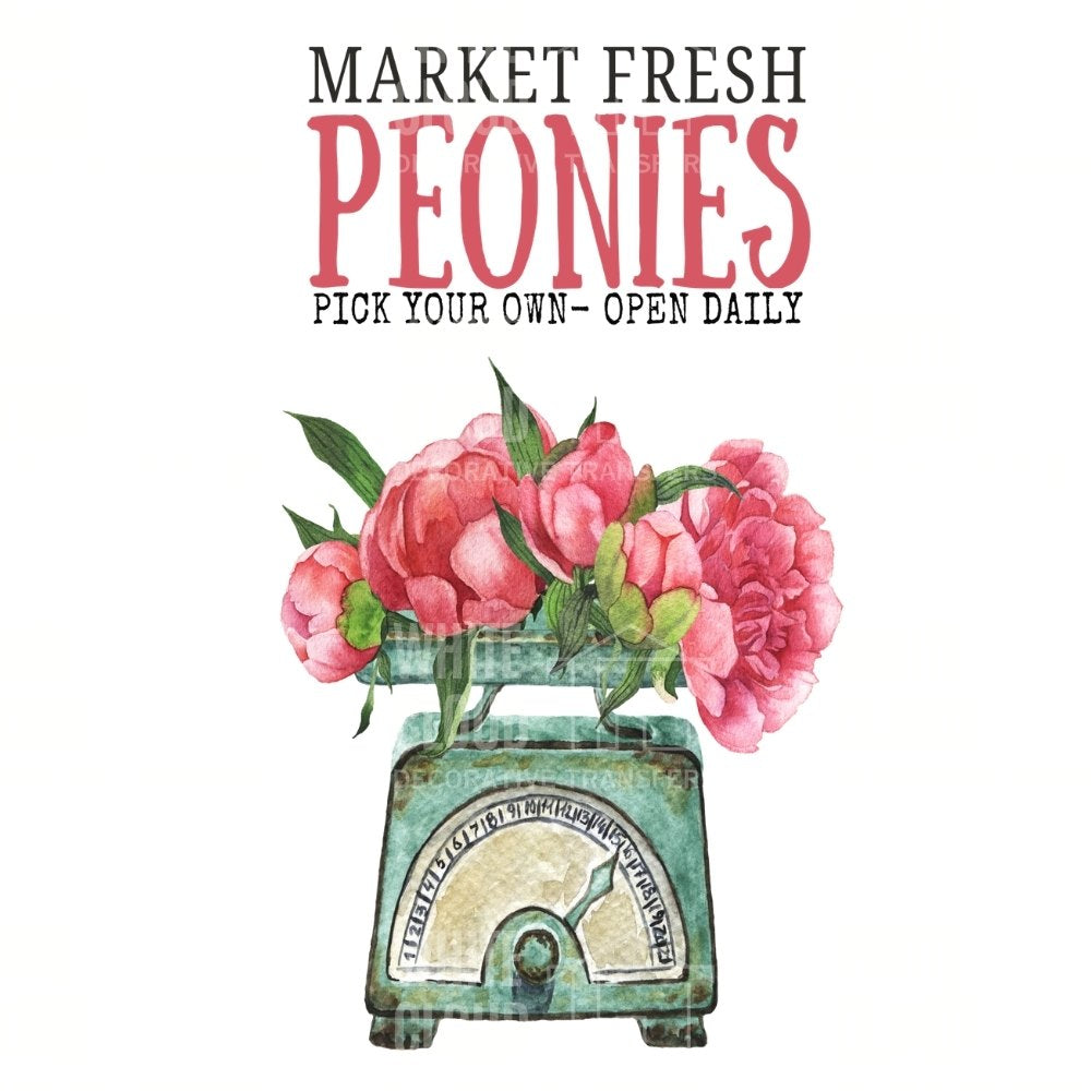 Vintage scale with pink peonies and text 'Market Fresh Peonies' on a white background