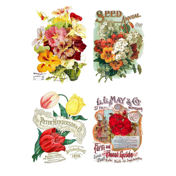 Collection of vintage seed packet designs with floral illustrations and text.