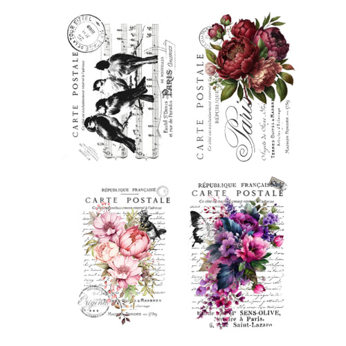 Decorative design with floral and bird elements on a white background Mixed Florals & Script 4 White Cloud Transfer