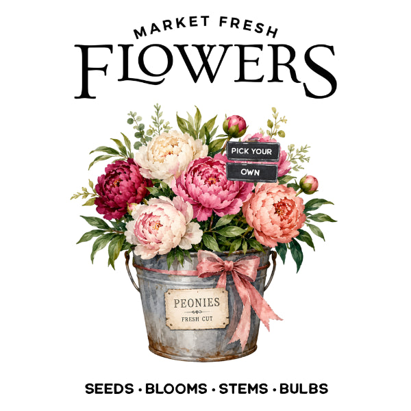 Peony Markets White Cloud Transfer