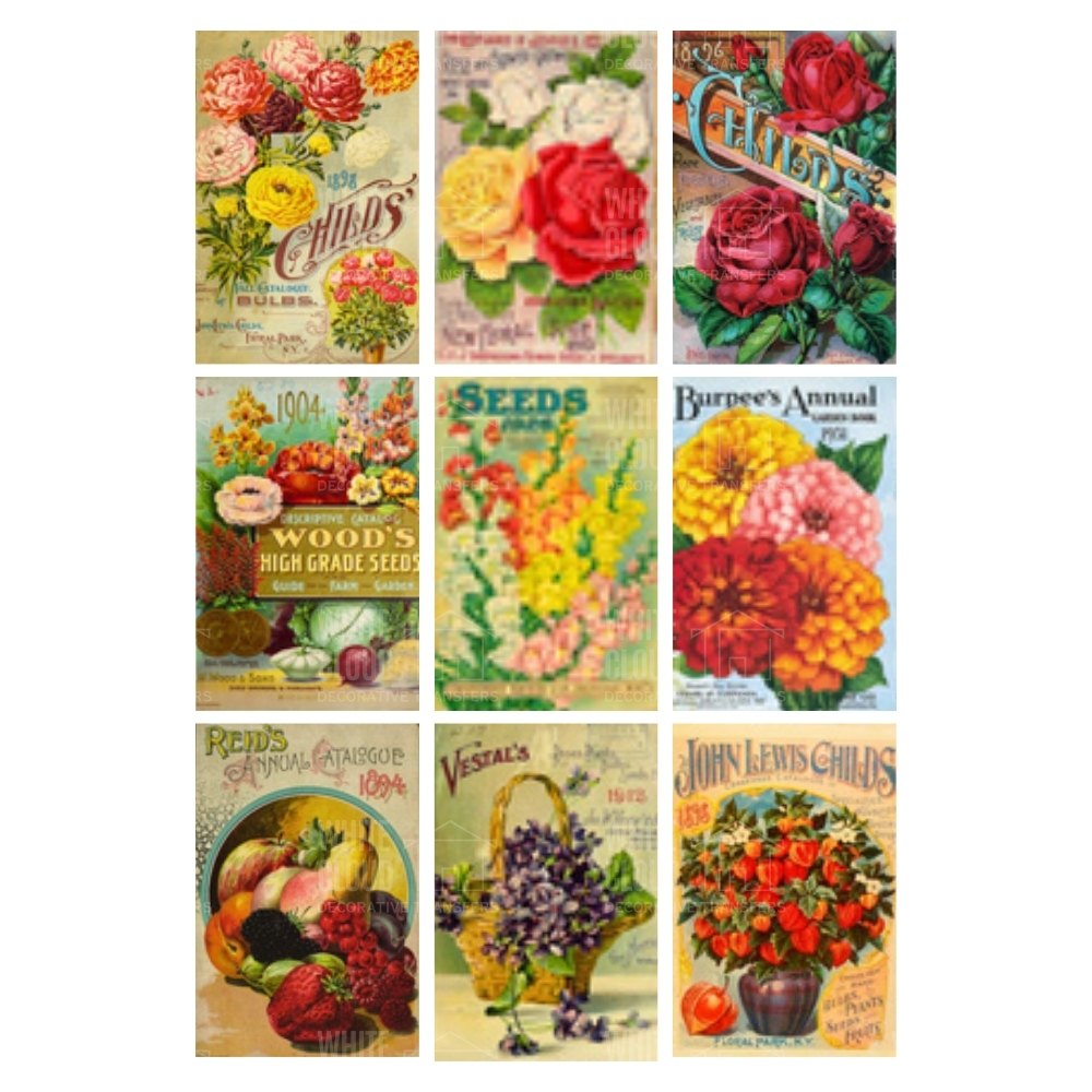 Collection of vintage seed packet designs on a white background