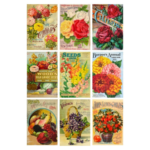Collection of vintage seed packet designs on a white background