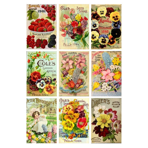 Collection of vintage seed packet designs featuring flowers and text on a white background.