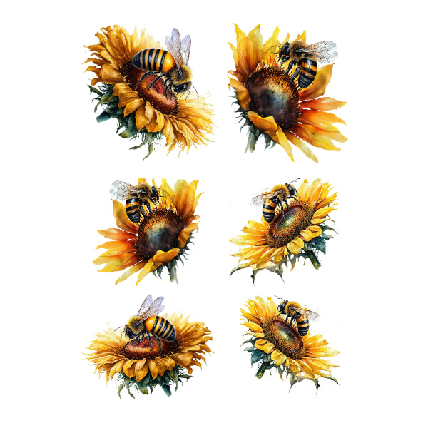 Sunflowers and Bees  White Cloud Transfer