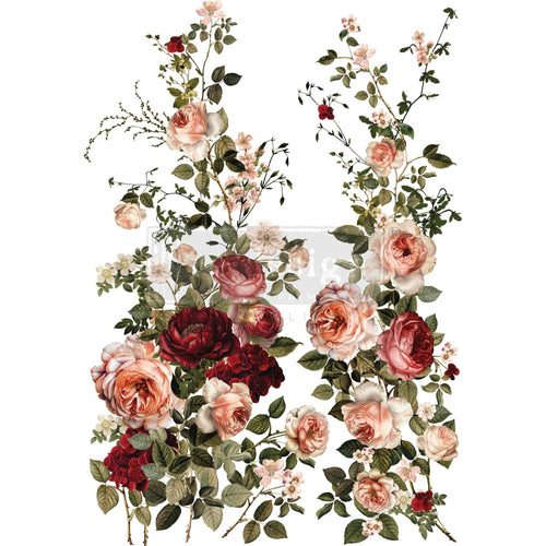 Redesign transfer Large Scarlet Embrace