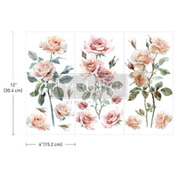 Redesign with Prima transfer small Blush Symphony
