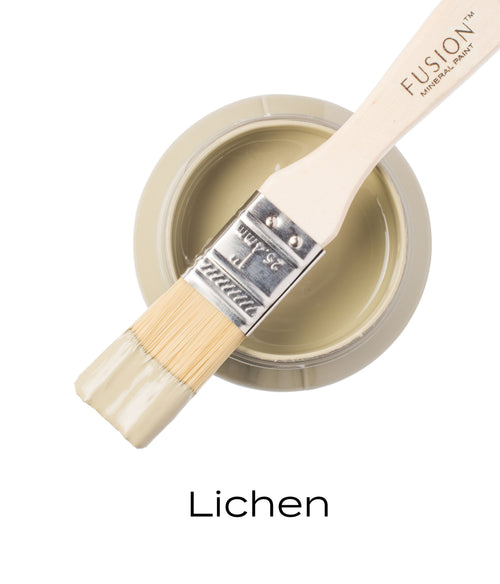 Fusion Mineral Paint can with a brush labeled 'Lichen' on a white background