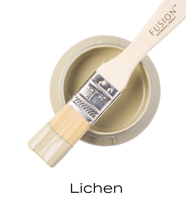 Fusion Mineral Paint can with a brush labeled 'Lichen' on a white background