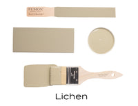 Fusion paint swatches and brush labeled 'Lichen' on a white background