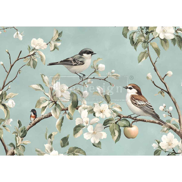 Illustration of birds on branches with flowers and apples against a light blue background. Whispering Wings A3 Fiber Decoupage Paper