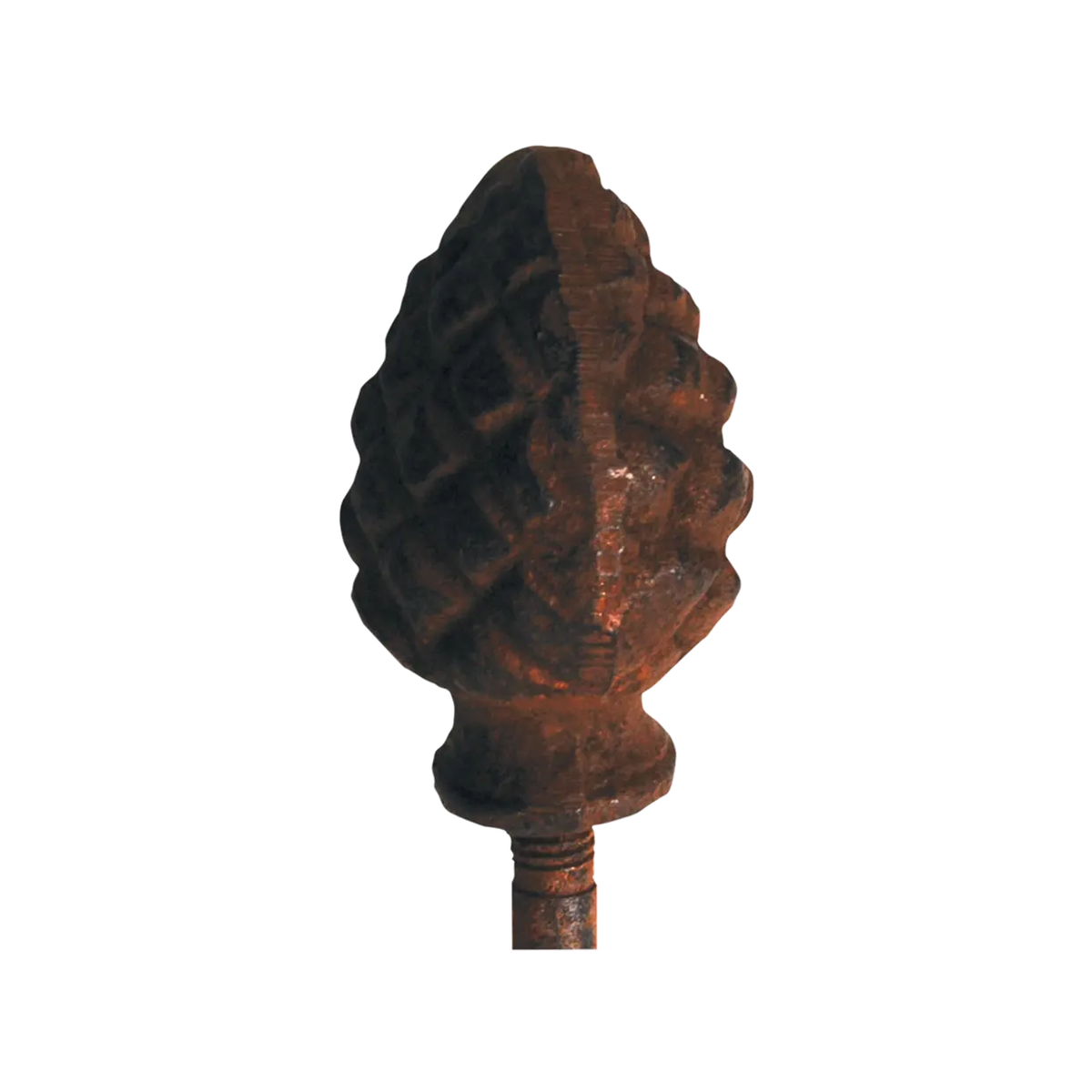 Cast Iron Plant Stakes Sold individually COLLECT ONLY