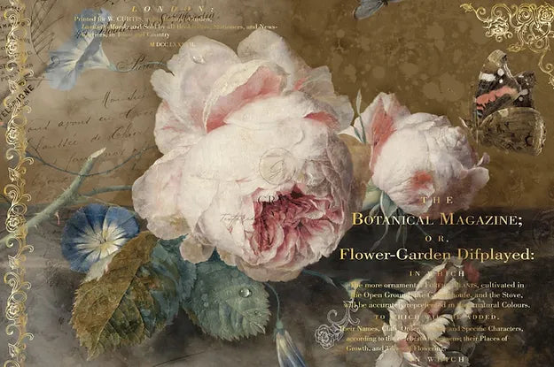 Botanical Magazine Paper for Decoupage A3