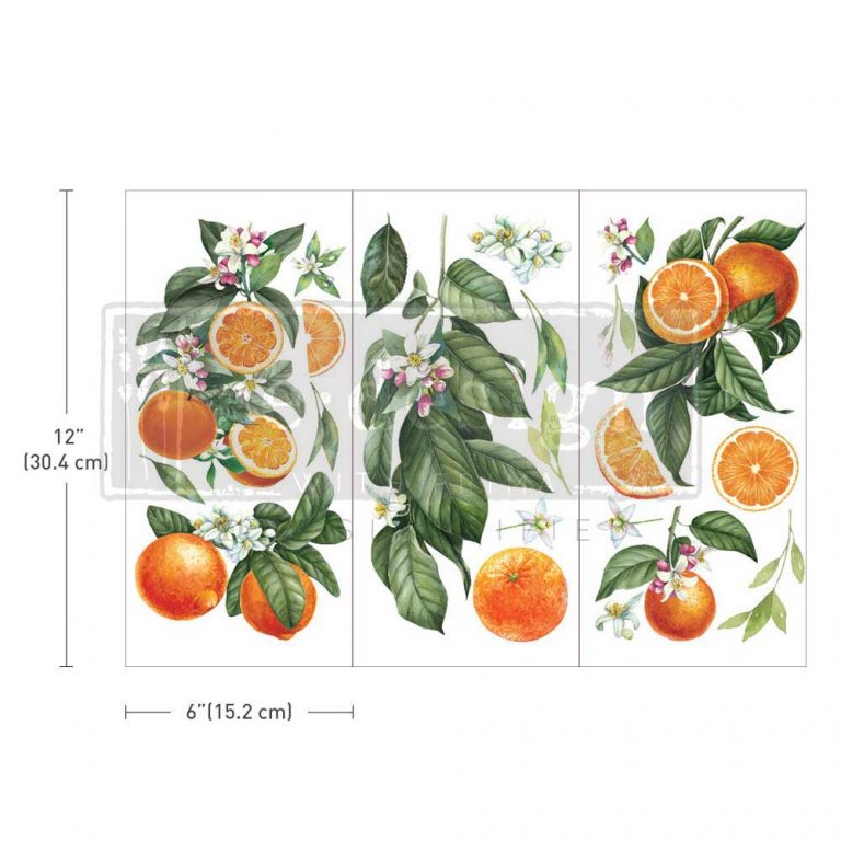 Redesign transfer small - Citrus Slice
