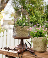 A rustic metal birdcage planter  with the Maison Garden Cloche. Crafted from rustic wire with a beautifully aged finish, this elegant cloche-style dome sits on a classic pedestal base, making it perfect for displaying potted plants, herbs, or seasonal décor.