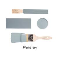 Fusion paint swatch with a brush labeled 'Paisley' on a white background