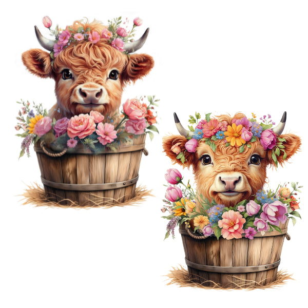Two cows with floral arrangements in wooden baskets on a white highland background