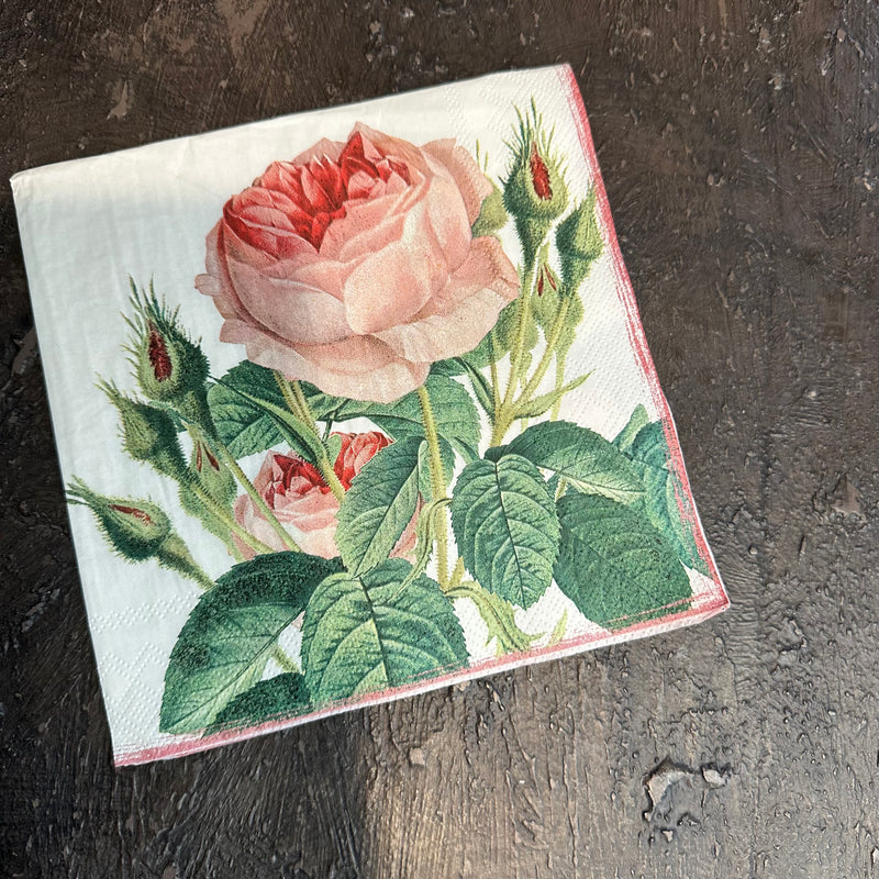 Pink Redoubte Rose Napkin for Decoupage