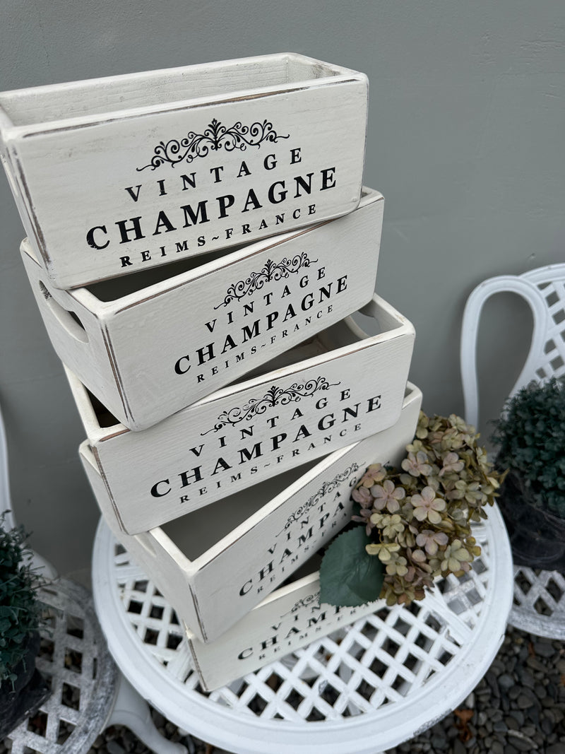 Vintage Champagne White wooden box - 5 different sizes