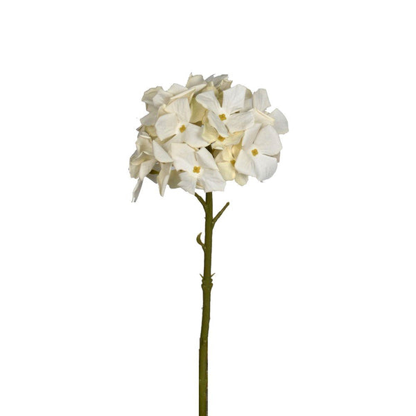 Petite Hydrangea Stem cream. Artificial white flower stem on a white background