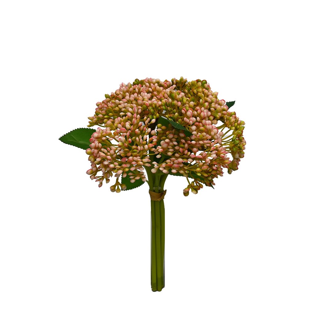 Sedum bundle in Pink & green