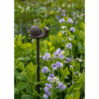 Cast Iron Plant Stakes Sold individually COLLECT ONLY