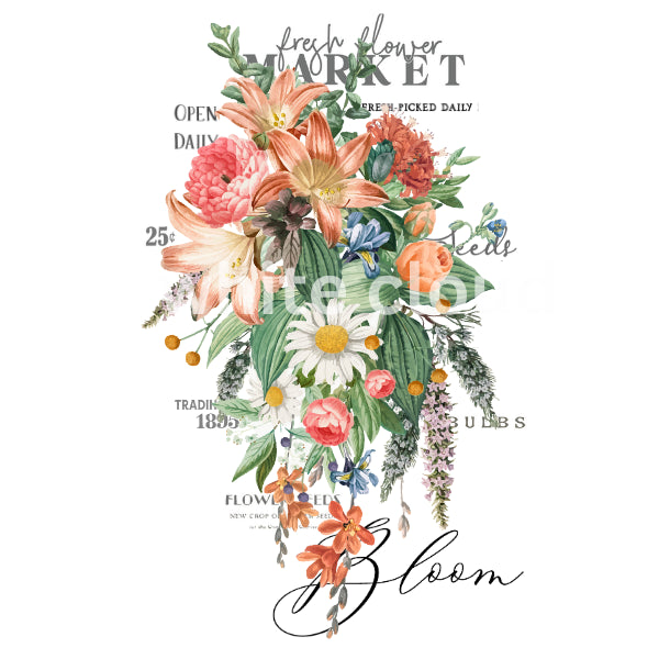 Floral design with text overlay on a white background Spring Flower Market bouquet White Cloud Transfer