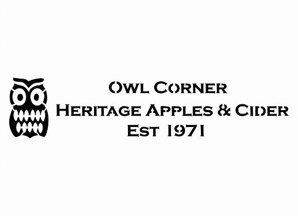 Owl Corner Stencil | Paint Me Vintage