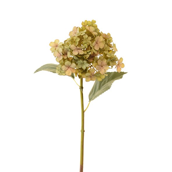 Hydrangea Green/Blush Cottage stem