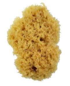 Artist Natural Sponge