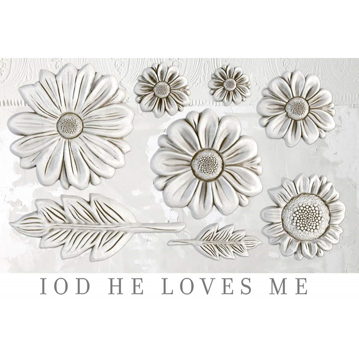 He Loves Me IOD Mould