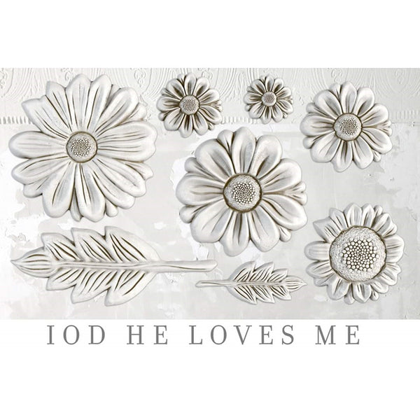 He Loves Me IOD Mould