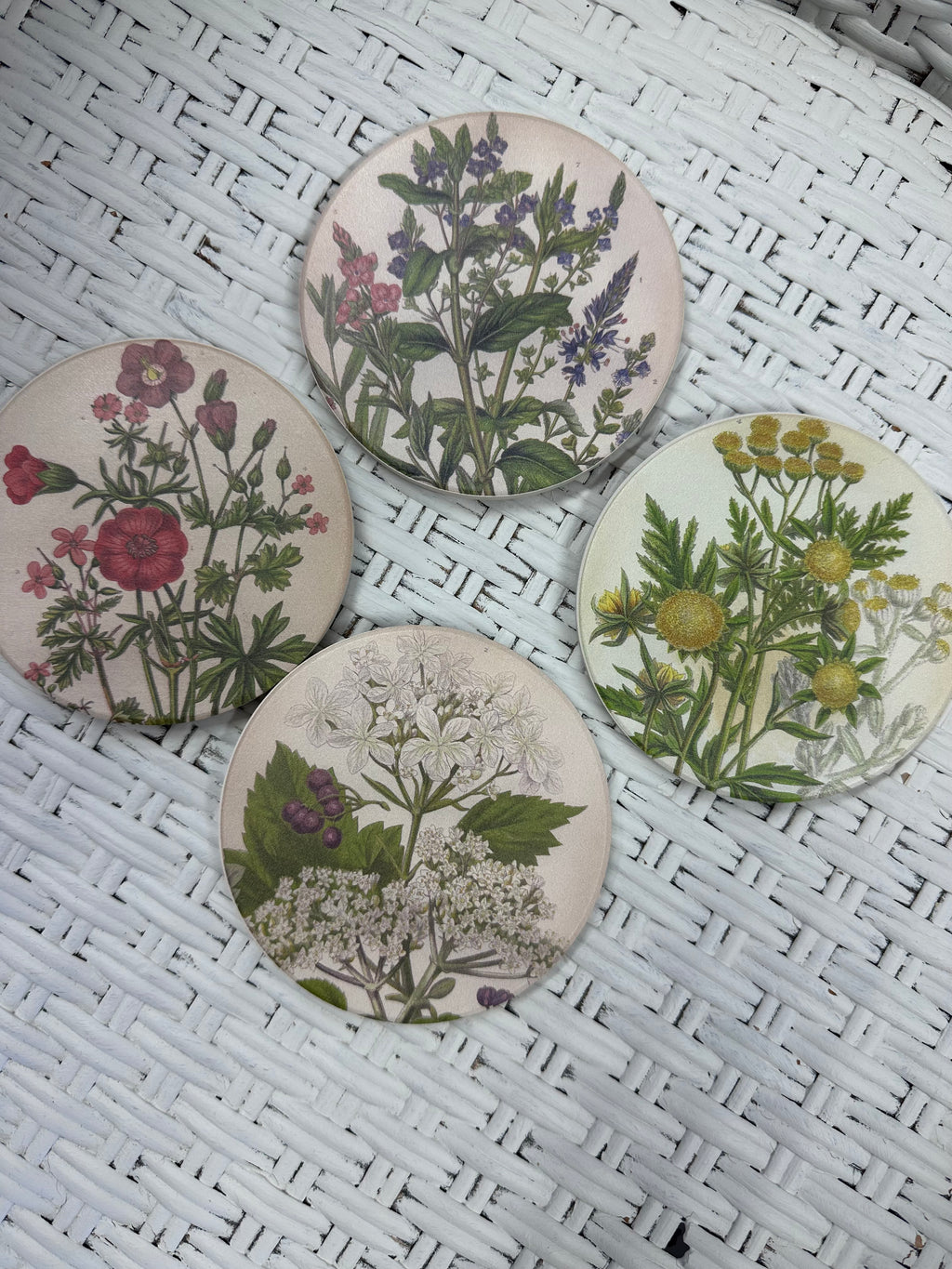 Coaster set medicinal plants x 4