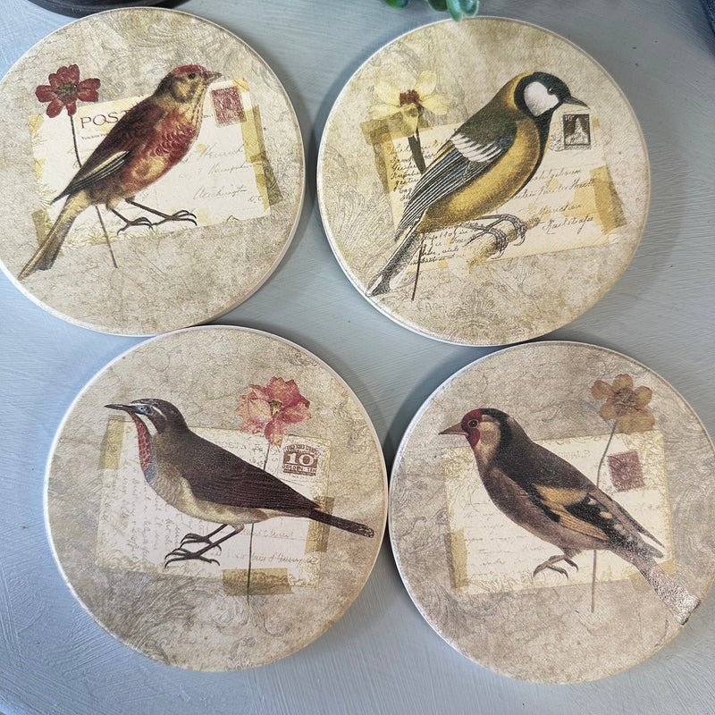 Coaster set exotic birds x 4
