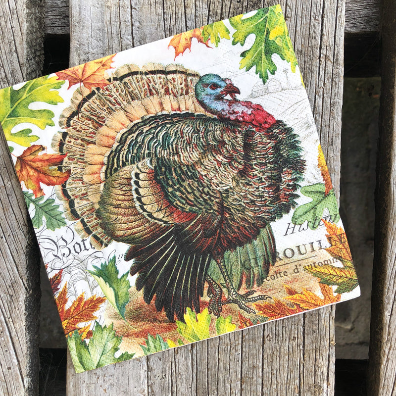 Turkey Napkin for Decoupage